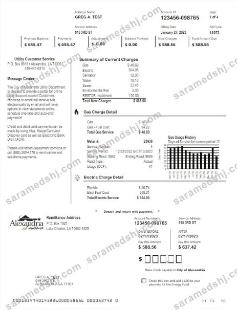 USA ALEXANDRIA utility bill Word and PDF template